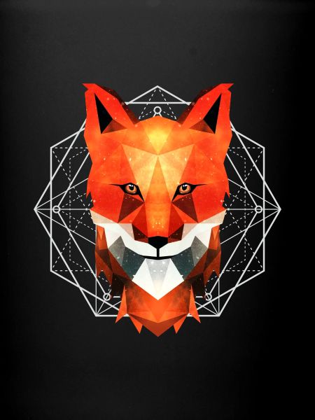 Fox geometric