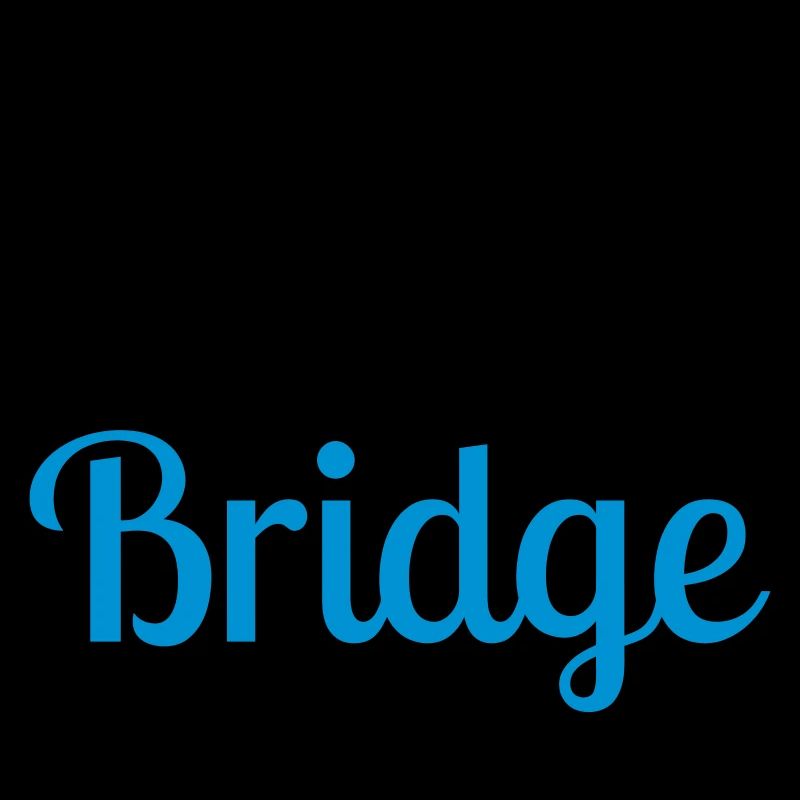 bridge / bridgeur / bridgeuse / cartes