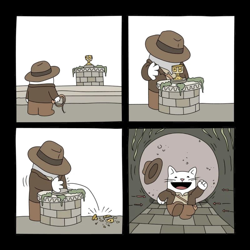 Indiana Jones Cat