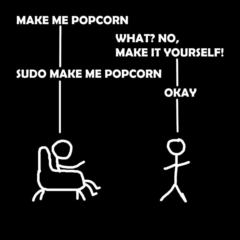 programmer sudo informatik