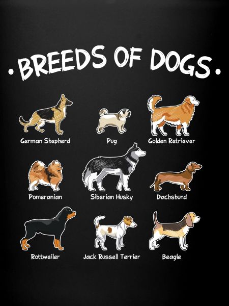 Races de chiens