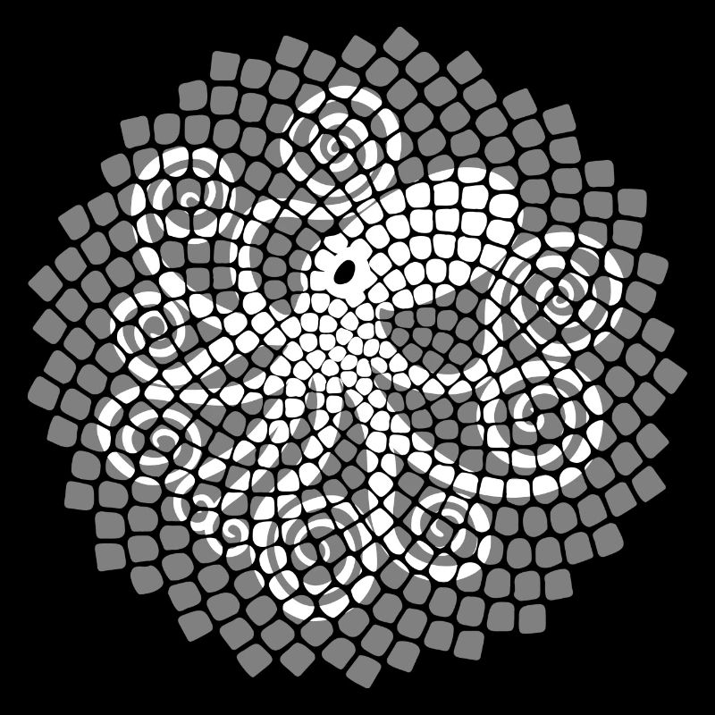 Calmar de Fibonacci