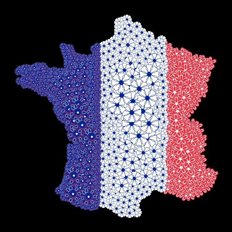 Drapeau de la France | drapeau français