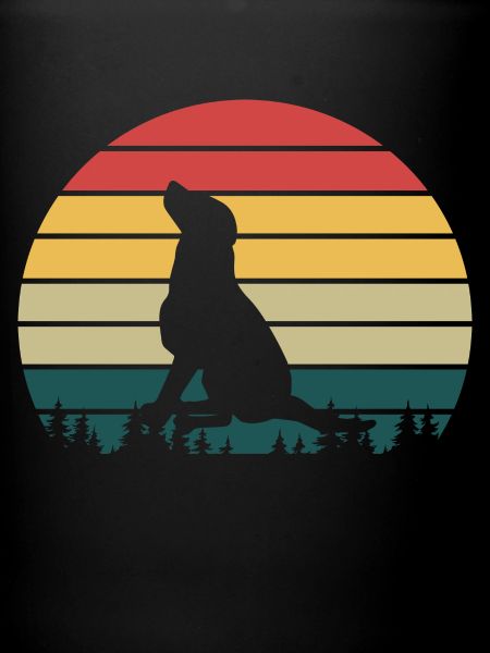 RETRO | Labrador