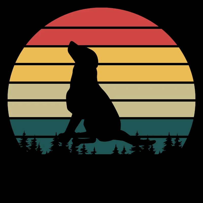 RETRO | LABRADOR