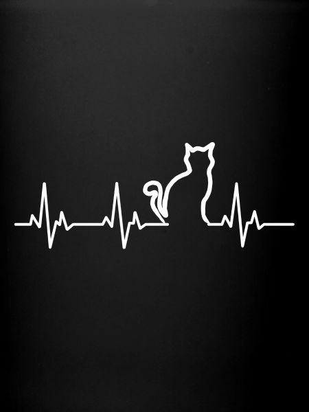 Chat chat ecg.