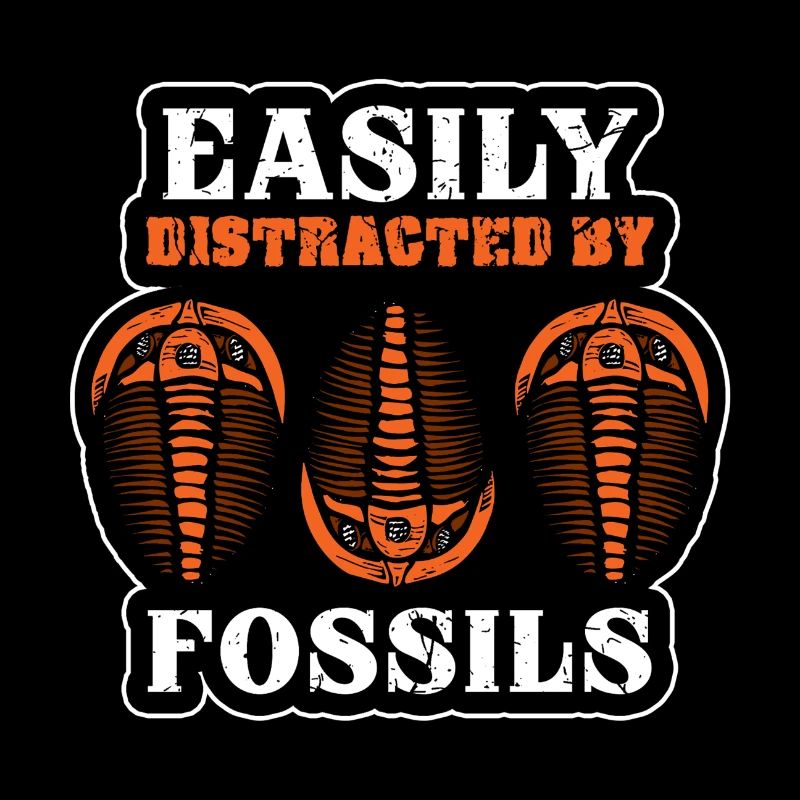 Archéologue profession fossile