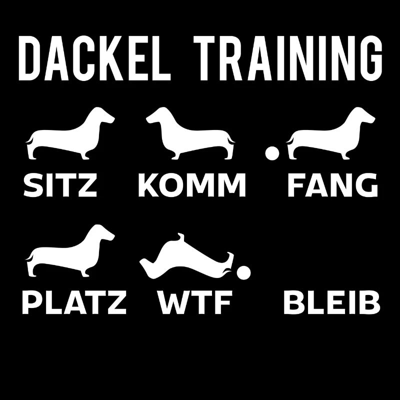 Dackel Training