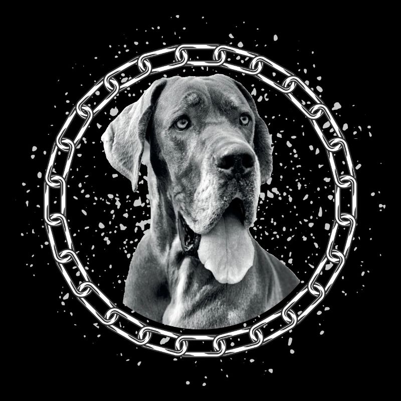 Deutsche Dogge oder Dänische Dogge als Portrait