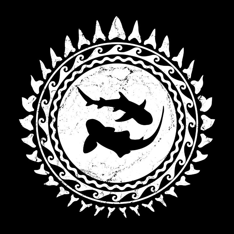 Requin zèbre