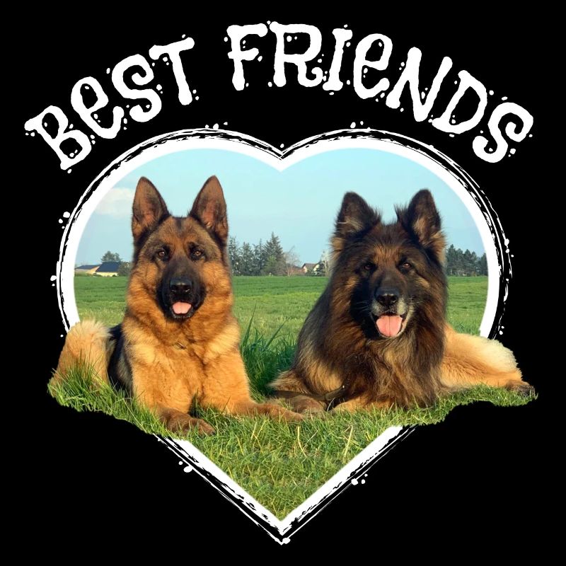 German Shepherd Mixed Breed Best Friends Heart