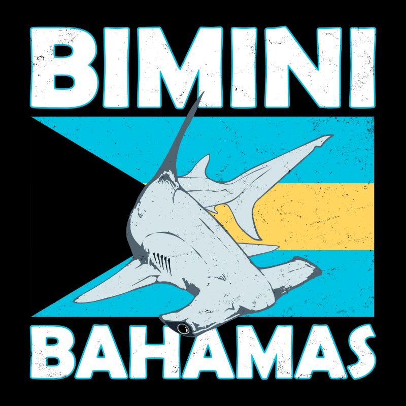 Bimini Bahamas hammerhead shark
