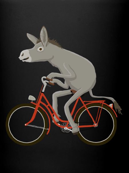 Vélos rouges