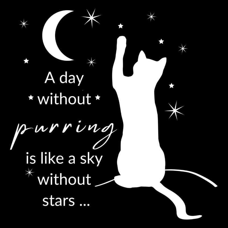 Katze / Katzen - Ein Tag ohne Schnurren