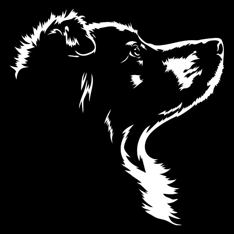 Australian Shepherd Hunde Aussie Hund Wilsigns