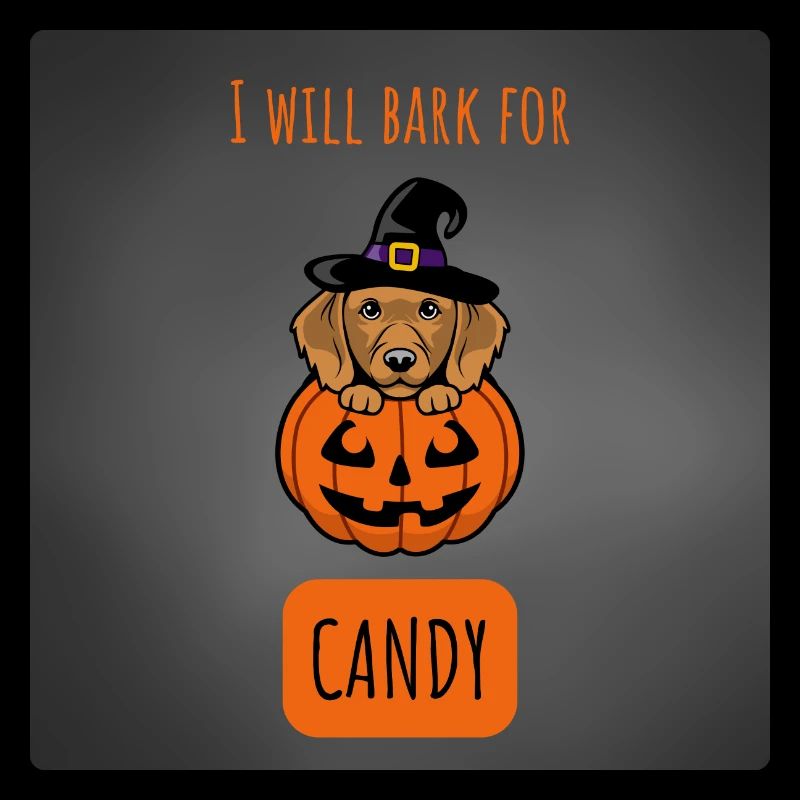 HALLOWEEN - Chien