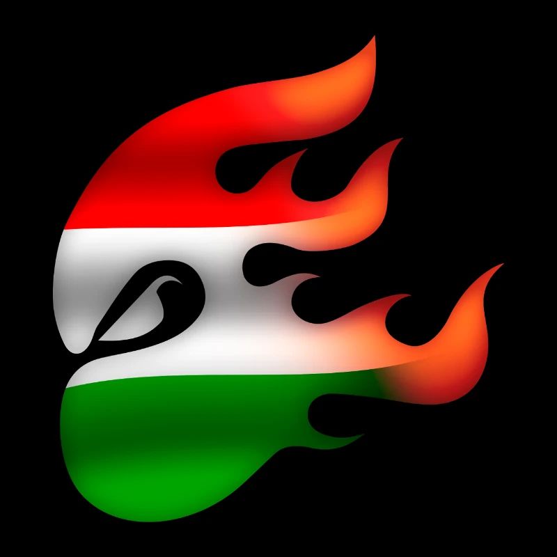 Flagge von Ungarn - Ungarn - Ninja