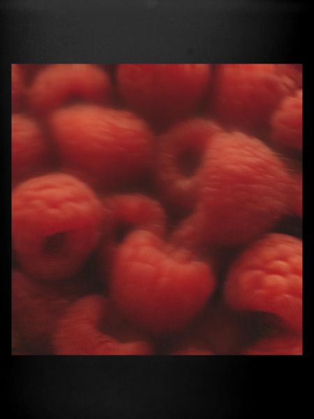 HIMBEEREN