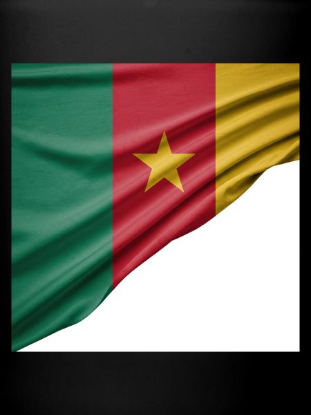 Flags of Cameroon