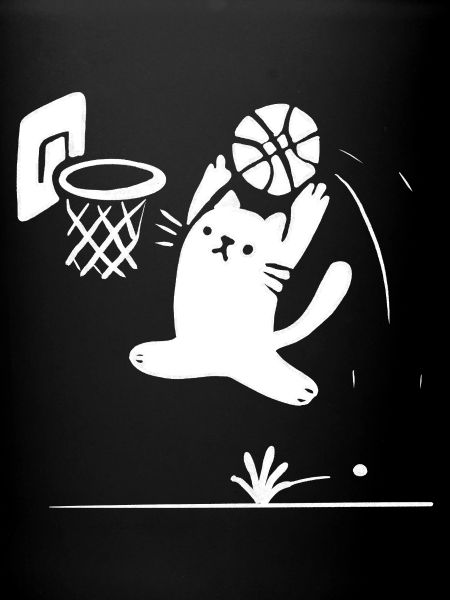 Chat de basket-ball