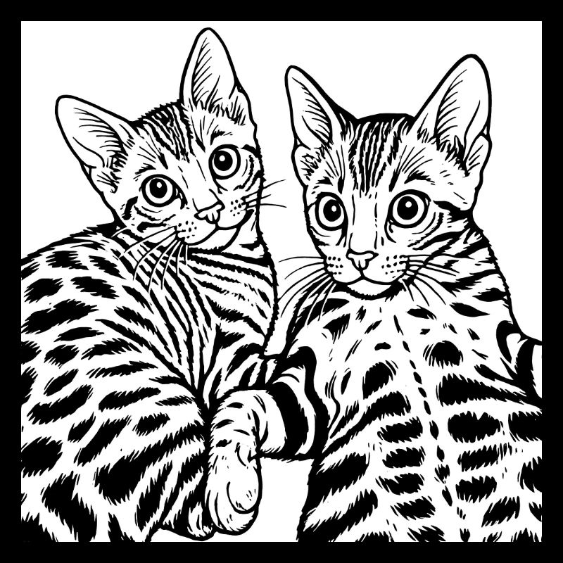 Cat Duo Line Drawing