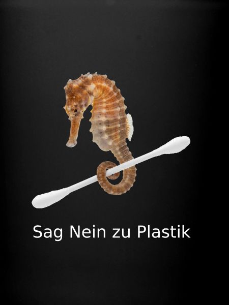 Seahorses against plastic