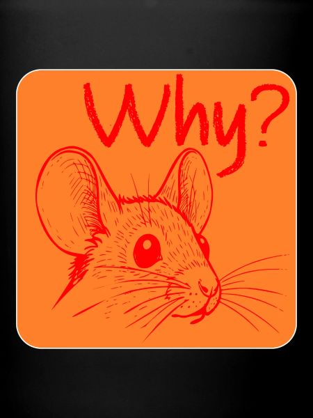 Why Mouse Irritation
