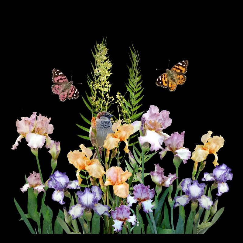 Im Garten der Schmetterlinge 