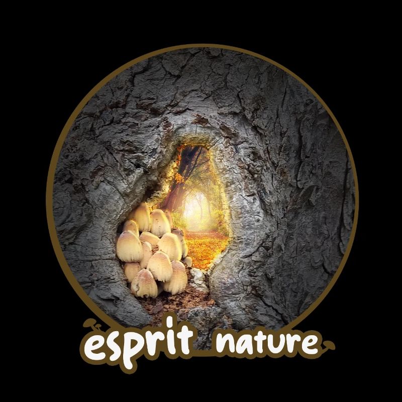 nature champi
