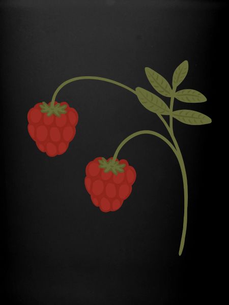 Himbeeren
