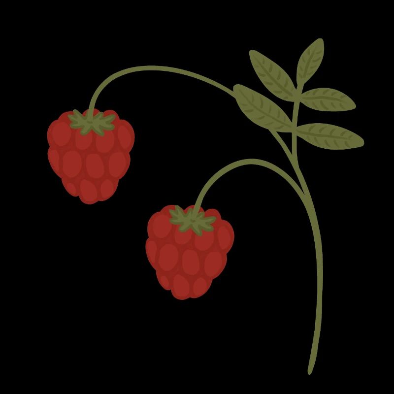Framboises