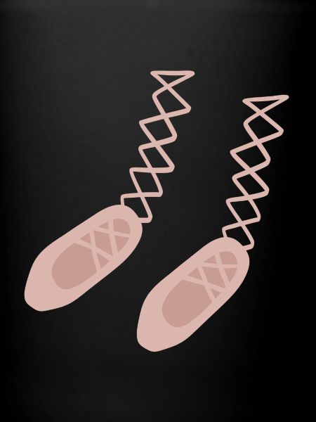 Ballettschuhe