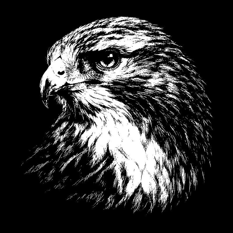 Falcon – graphismes au crayon blanc