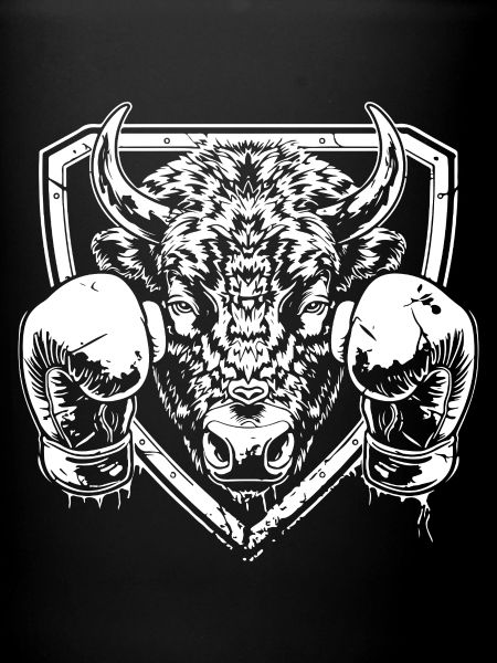 Bison Boxing MMA