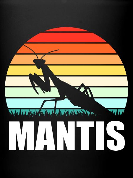 Mantis Gottesanbeter Gottesanbeterin