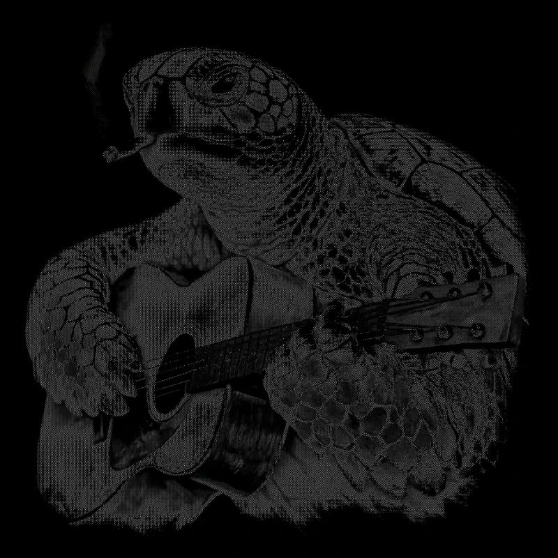 Tortue guitariste blues
