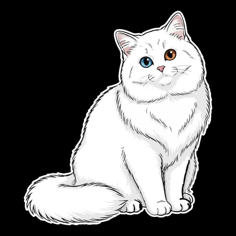 Chat Blanc Angora Yeux Vairons Portrait Élégant