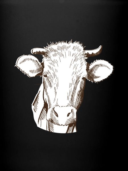 Vache