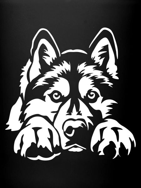 Siberian Husky « Édition Noire »