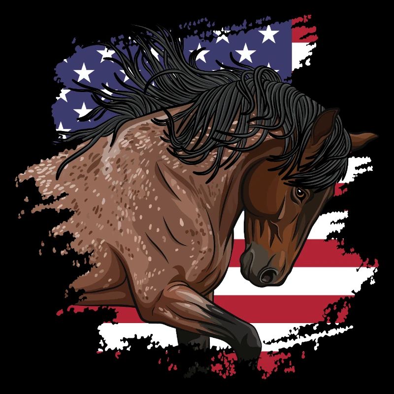 Ein spanisches Barbe-Pferd und die Flagge der USA