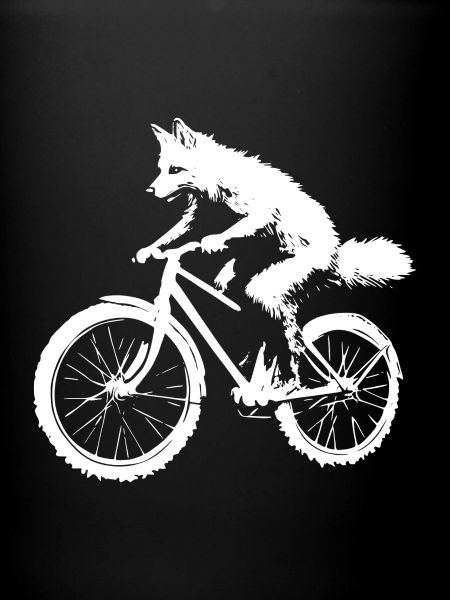 Fahrrad Fuchs 