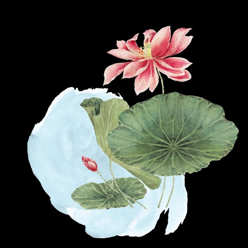 Magie de la Fleur d’Aquarelle en Nénuphar