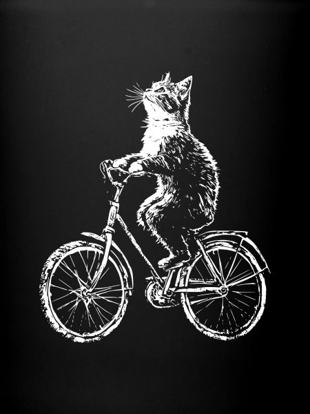 Chat Vélo Drôle
