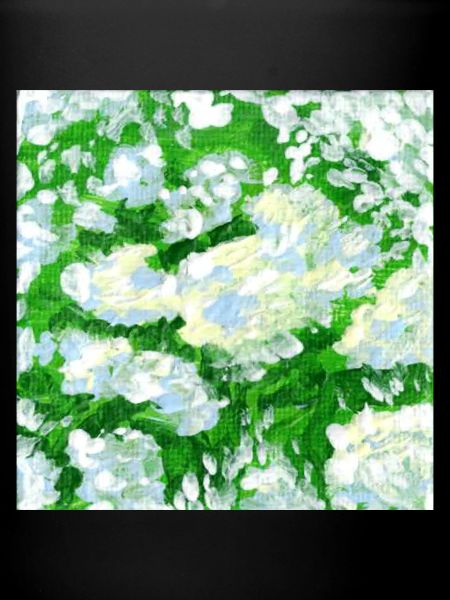 Elderberry Paintings