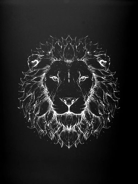 Traits du Lion Mandala