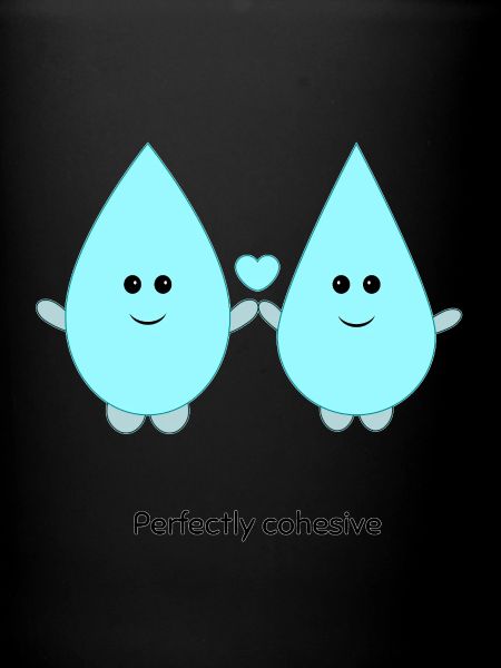 Perfectly Cohesive Water Drops