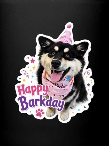 Happy Barkday Finnish Lapphund