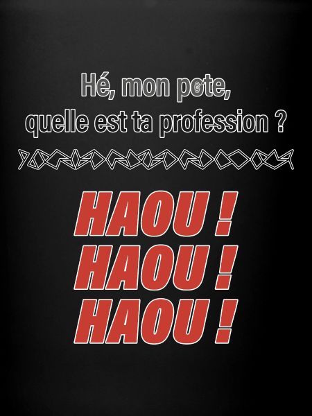 Pote Pro Haou Humor