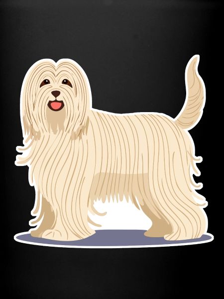 Komondor (comic)