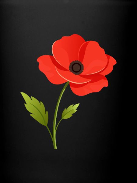 Mohnblume